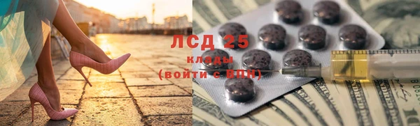 мяу мяу мука Гатчина