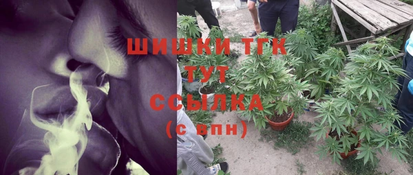 крисы Гвардейск
