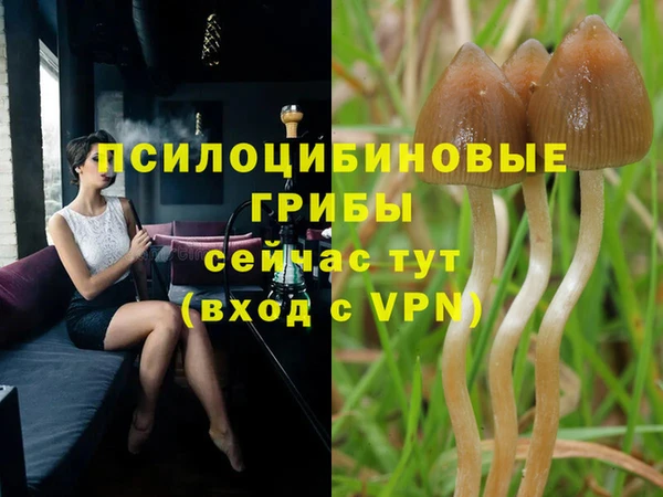 ECSTASY Пестово