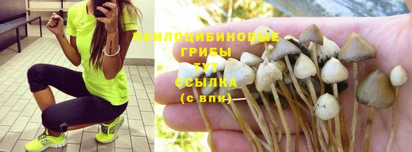 ALPHA-PVP Покачи