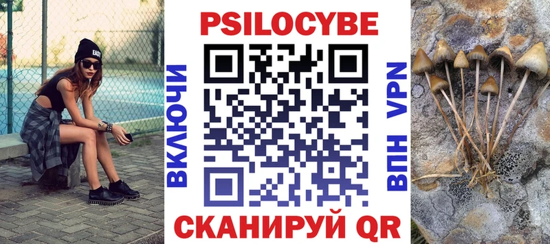 Псилоцибиновые грибы Psilocybine cubensis Губкинский